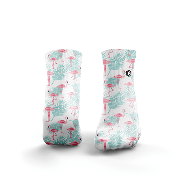 Flamants roses